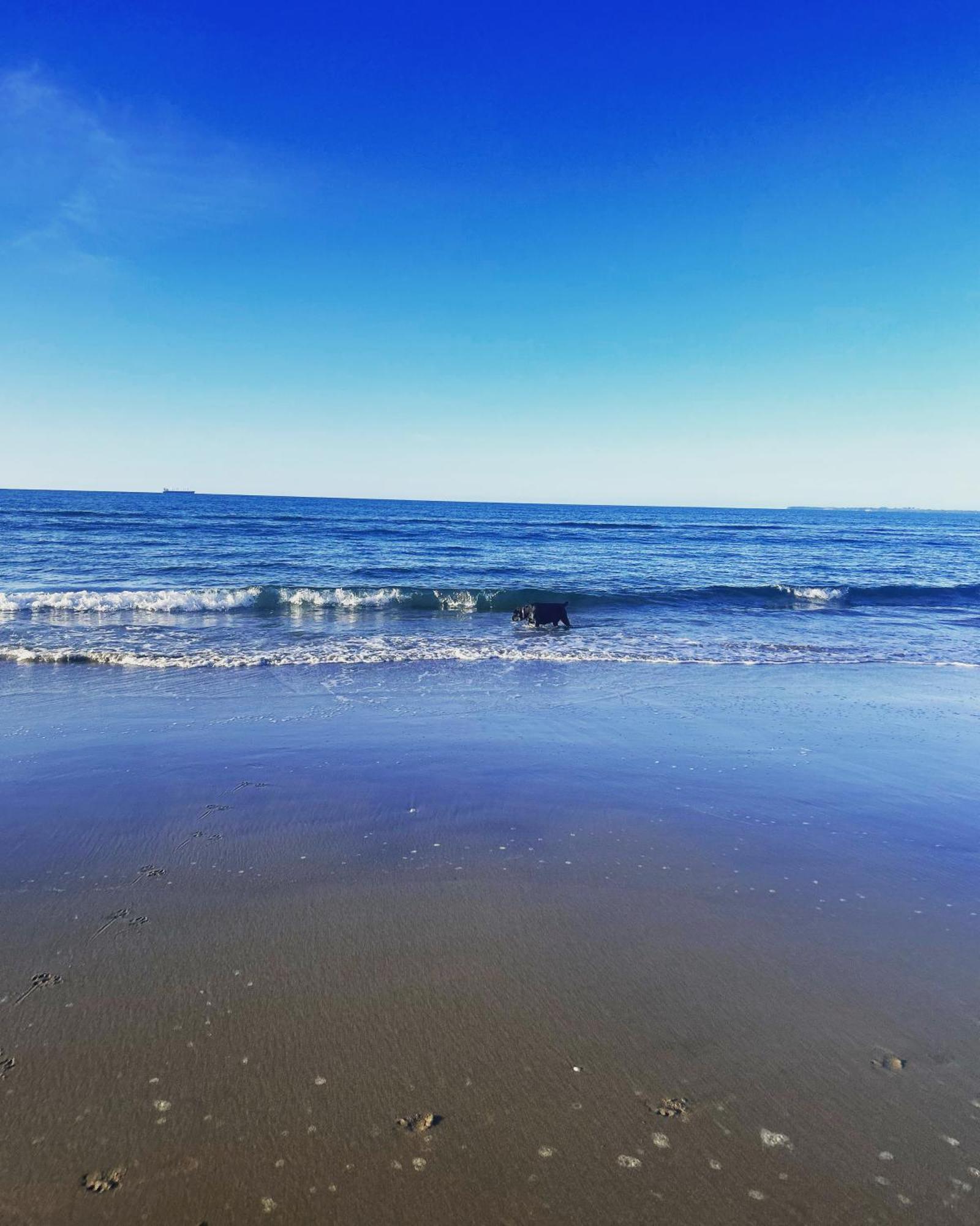 Beach Apartment Papamoa Zewnętrze zdjęcie